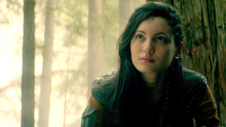 Woman leather jacket forest tree - a leather jacket free wallpaper for desktop