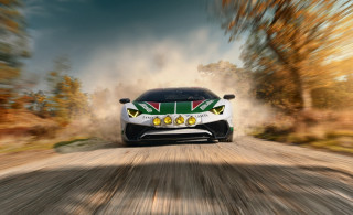 Car dirtroad trees dust bernardo - the front of it free wallpaper