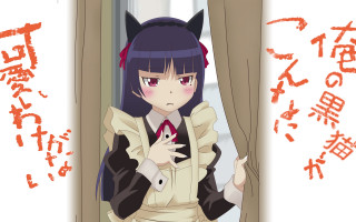 Woman cat suit cat windows - a cat free wallpaper