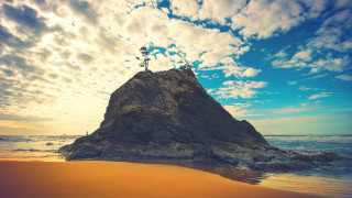 Lone tree rock beach sunset - a rock free wallpaper for desktop