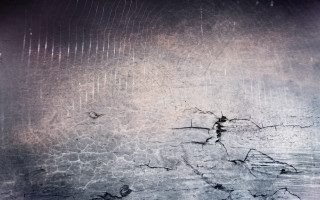 Black white cracked wall person - photo of a wall free wallpaper