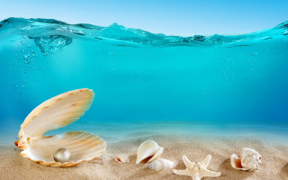 Seashells underwater beach wave sky - surrealism free wallpaper for desktop