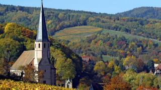 Church steeple autumn village fall - fall vibrancy free wallpaper