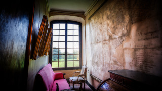 Pink couch window wall table - rembrandt free wallpaper