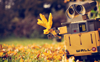 Robot camera leaves autumn blurry - a field of leaves free wallpaper