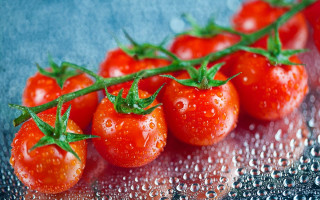 Tomatoes water drops green leaves - green stem free wallpaper