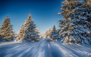 Snowy road bench trees blue - a snowy road free wallpaper