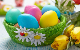Basket eggs flowers table vase - full color free wallpaper