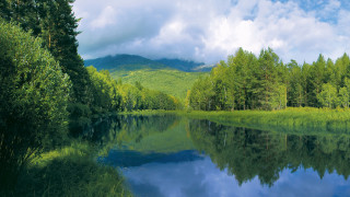 Lake mountains forest clouds trees 2 - tree and mountains under a cloudy sky free wallpaper