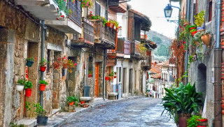 Narrow street potted plants magic - a narrow street free wallpaper