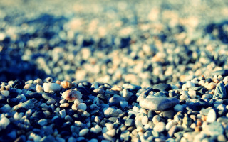 Rocks gravel blue flower bokeh - the bottom of it free wallpaper