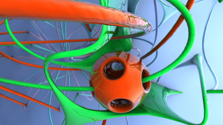 Fish pond plant ai mitsu - c4d free wallpaper for desktop