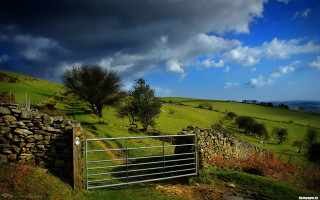 Gate grassy field stone wall - a gate free wallpaper