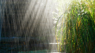 Waterfall light shining grass pond - a waterfall free wallpaper