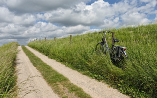 Bike fence grass dirt road - landscape free wallpaper for desktop