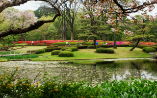 Pond trees flowers impressionism nature - free spring wallpaper