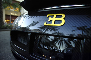 Car logo palm tree detailed - a palm tree in the background free wallpaper