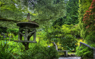 Stone path forest birdfeeder tiltshift - japan eishōsai chōki free wallpaper