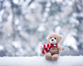 Teddy bear snow roof winter - a scarf free wallpaper