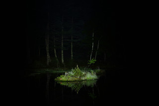 Small island lake night light - a small island in the middle of a lake free wallpaper