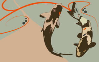 Koi fish swimming pond red - alexander stirling calder free wallpaper