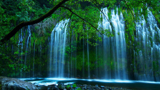 Waterfall tree nature river forest - a large amount of water free wallpaper