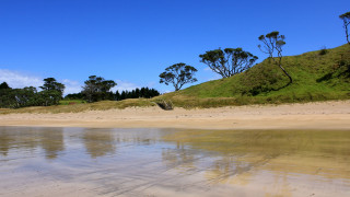 Bush hill lake beach sky - a hill in the background and trees free wallpaper