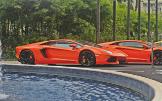 Orange sports cars fountain trees - a fountain free wallpaper