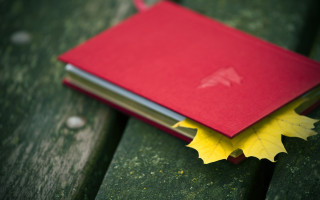 Red notebook yellow leaf park - a yellow leaf free wallpaper