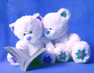 Two white teddy bears reading - a book together free wallpaper