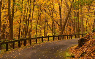 Autumn woods fence bench cityscape - a fence and trees free wallpaper