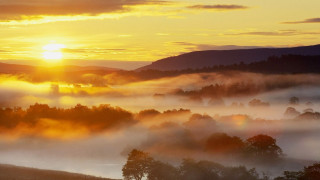 Sunset valley trees fog hills - a few hill free wallpaper for desktop