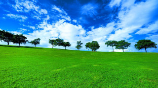 Grassy hill trees blue sky - grassy free wallpaper for desktop