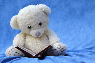 White teddy bear reading book - a storybook illustration free wallpaper