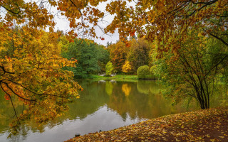 Lake trees autumn bench impressionist - a bench free wallpaper