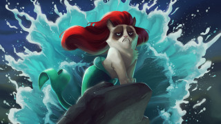 Cat rock ocean wave grumpy - a fine art painting free wallpaper