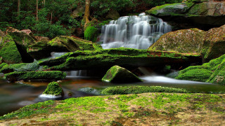 Mossy rocks forest waterfall impressionist - mossy free wallpaper