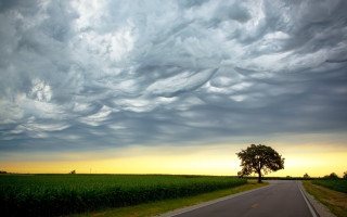 Road tree cloudy sunset horizon - stormy weather free wallpaper