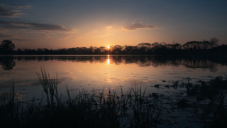 Sunset lake clouds trees grass - a sunset over a lake free wallpaper
