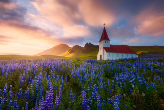 Church blueflowers sunset mountains puzzle - blue flower free wallpaper for desktop