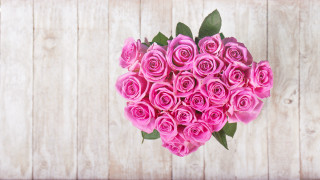 Heart shaped pink roses white - pink rose free wallpaper for desktop