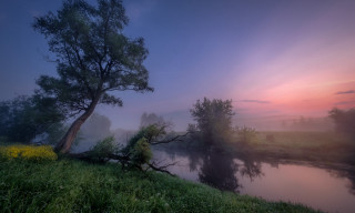 Magic realism tree hill river - a foggy sky free wallpaper for desktop