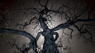 Bare tree full moon snow - a full moon in the background free wallpaper for desktop