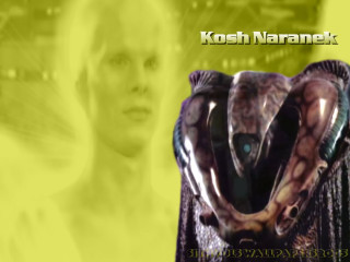 Woman snake purse yellow background - promotional free wallpaper for desktop