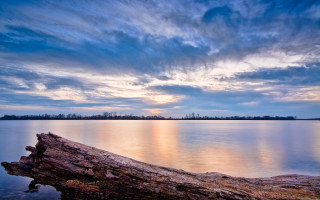 Tree trunk water sunset clouds - arthur quartley free wallpaper