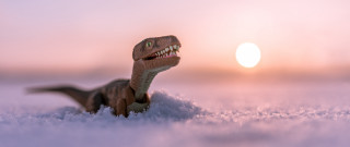 Toy dinosaur snow sunset mountain - dof free wallpaper
