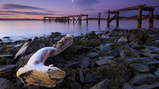 Rocky beach log sunset pier - a pier in the background free wallpaper