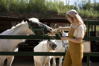 Woman horse hay corral building - the background and a building in the background free wallpaper
