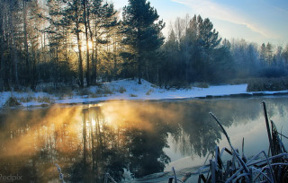 Lake snowy trees forest sunset - a sun free wallpaper for desktop