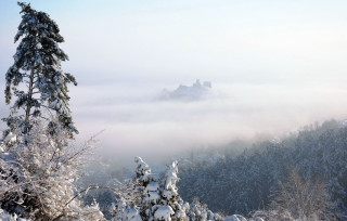 Castle foggy sky trees lake - volumetric fog free wallpaper